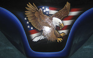 bald eagle american flag