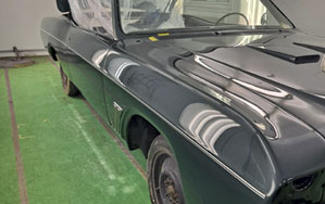 truck pinstripe