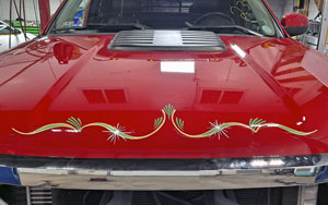 pinstripe repair and replacement