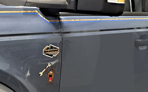 truck pinstripe